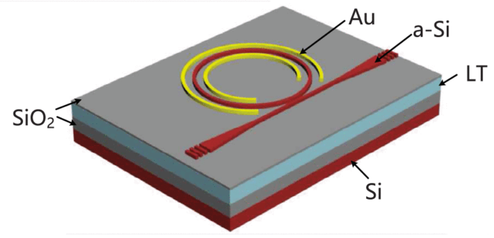 A Hybrid Lithium Tantalite-Silicon Photonics Platform for Electro-Optic Tuning